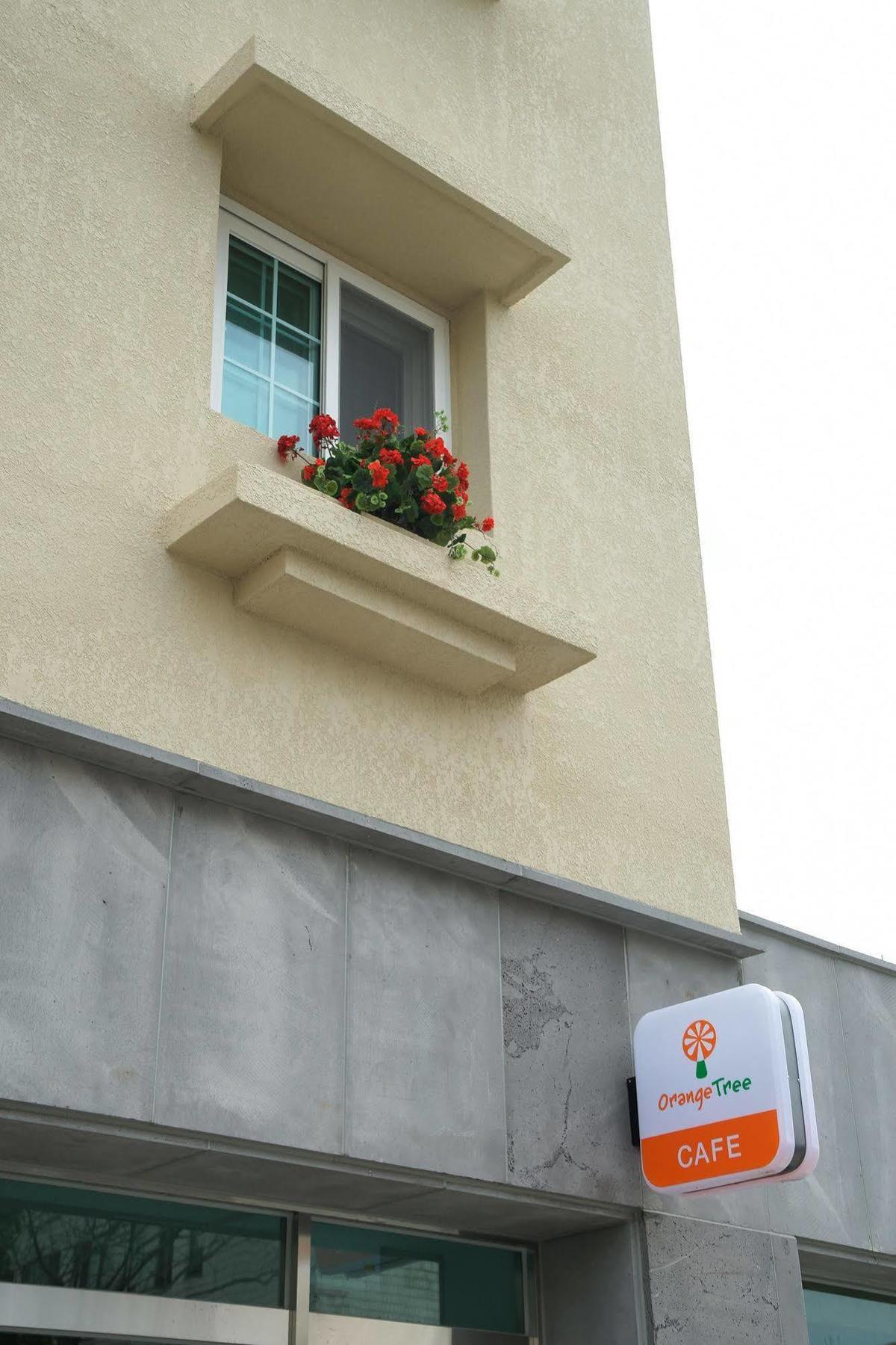 Orange Tree Hotel Jeju Dış mekan fotoğraf