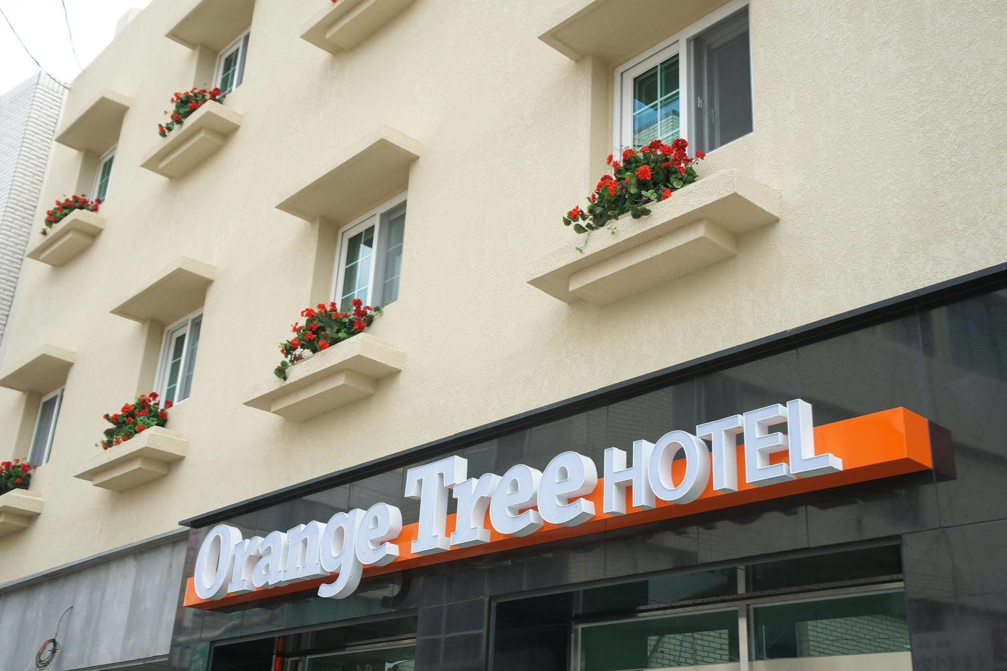 Orange Tree Hotel Jeju Dış mekan fotoğraf