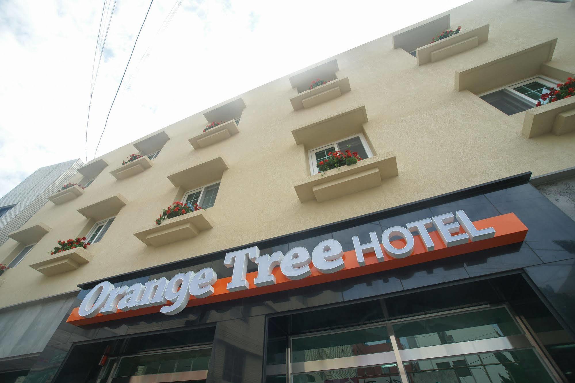 Orange Tree Hotel Jeju Dış mekan fotoğraf