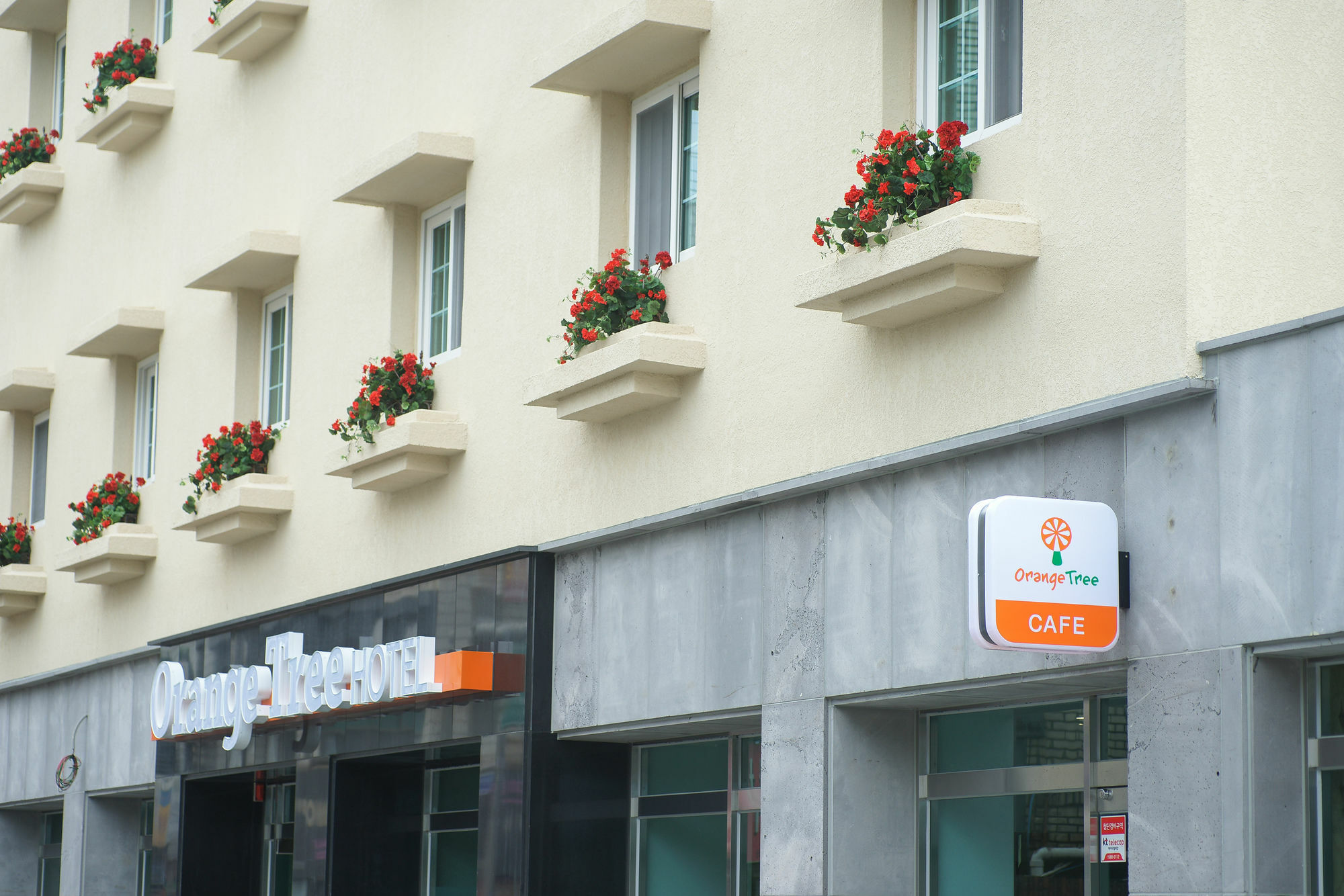 Orange Tree Hotel Jeju Dış mekan fotoğraf